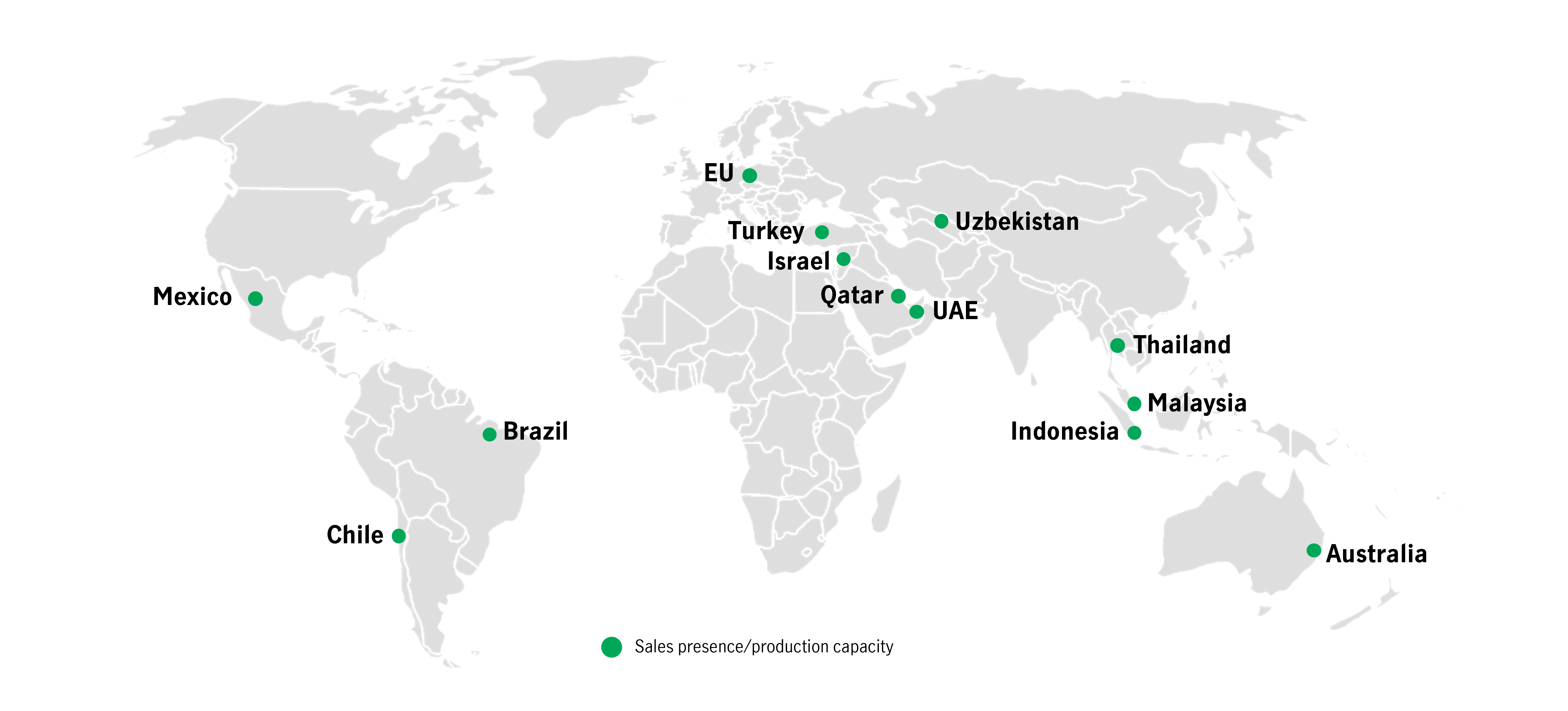 Chinese auto company with a strong global footprint